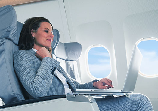 Golden Gate Bridge and Harbor